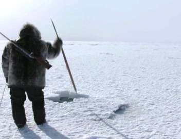 Inuit, les mes blesses