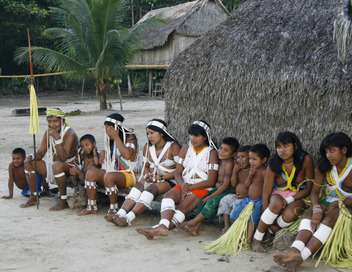 Les Zo', l'Amazonie en hritage