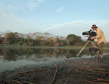 Les cycles du Pantanal