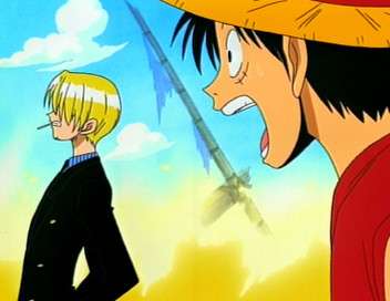 One Piece Ace et Luffy ! Passion et fraternité !