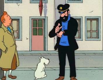 Les aventures de Tintin L'affaire Tournesol