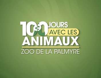 100 jours avec les animaux du zoo