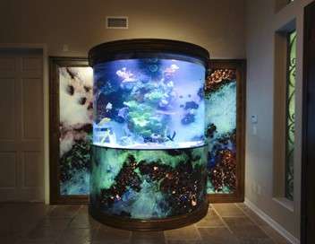 Aquamen : les as des aquariums