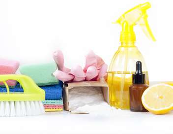 Cleaners, les experts du mnage