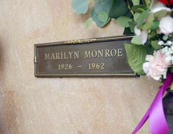 Mort d'une icne Le mystre Marilyn Monroe