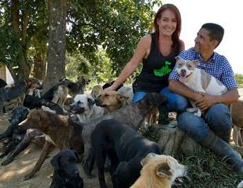 Au Costa Rica, un paradis pour les chiens abandonnés