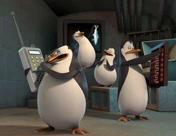 Les pingouins de Madagascar