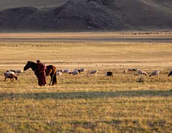 Ogui, mdecin des steppes de Mongolie