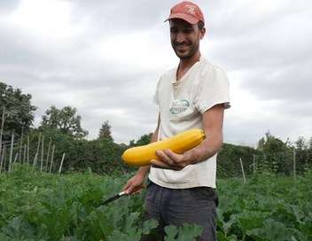 Zone interdite Alimentation, climat : ces nouveaux agriculteurs au secours de la plante