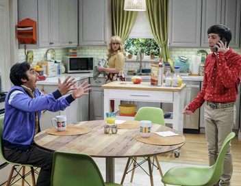 The Big Bang Theory Probabilits matrimoniales