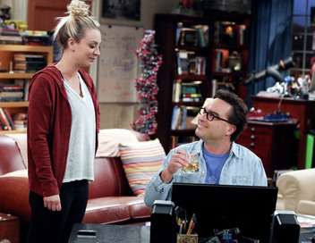 The Big Bang Theory Le roman de Leonard