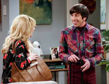 The Big Bang Theory Baby-sitting exprimental