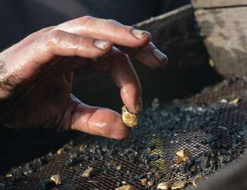 Alaska : la ruée vers l'or — RMC Découverte 12:10