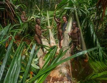 Papouasie occidentale, mon anne chez les Korowai