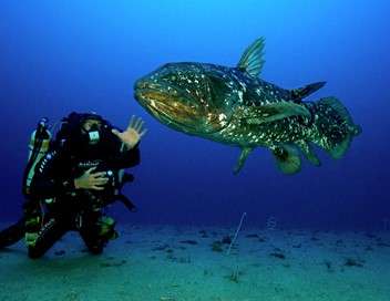 Le coelacanthe, plonge vers nos origines