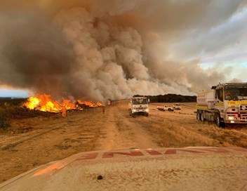 Incendies en Australie : urgence climatique
