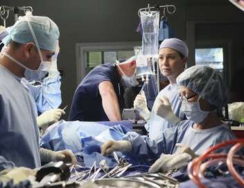 Grey's Anatomy Une heure dcisive