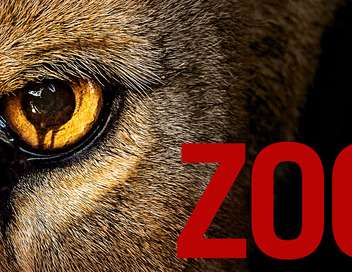 Zoo Dans la gueule du lion