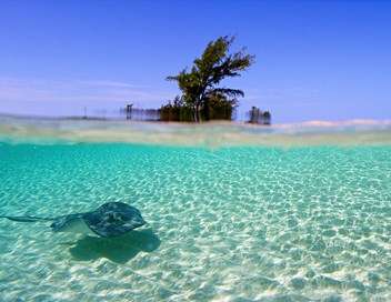 La splendeur des Bahamas