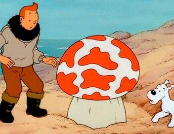 Les aventures de Tintin L'étoile mystérieuse