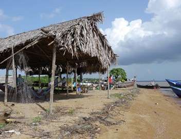 Expdition aux sources de l'Essequibo