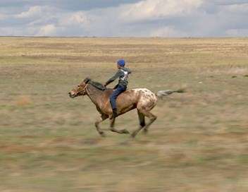 Les chevaux de Russie