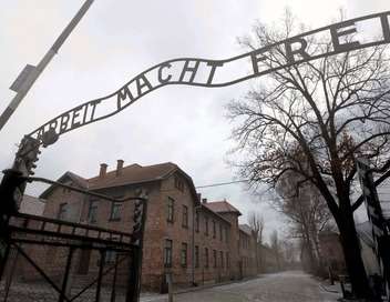 Auschwitz : voyage au bout de l'enfer