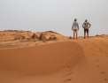 Le Sahara en Solex