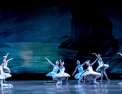 Le lac des cygnes - Ballet national de Kiev