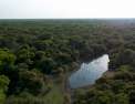 Le lac rebelle du Pantanal