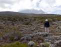 Voyage au bout de l'effort  : gravir le Kilimandjaro