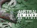 Australie : un animal, un remède 2 épisodes