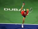 Tournoi ATP 500 de Dubaï