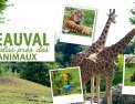 Beauval, au plus près des animaux