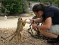 Naissances extraordinaires au zoo