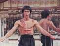 Bruce Lee : l'épopée du dragon