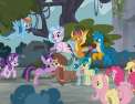My Little Pony : les amies c'est magique La lutte des classes
