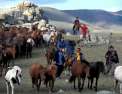 Ushuaïa nature L'esprit nomade (Mongolie)