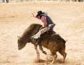 Rodeo Pro Bull Riding