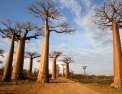 Madagascar, les trésors de l'île Rouge