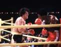 Rocky 2 : la revanche