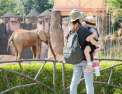 Les vacances préférées des Français Dans les coulisses des zoos les plus spectaculaires d'Europe